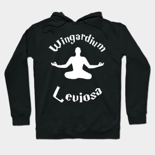 Wingardium Leviosa Hoodie